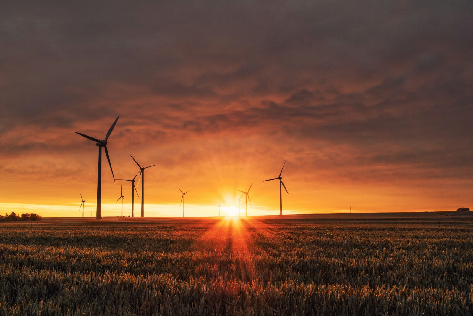 THE RISE OF STARTUPS IN EMERGING ENERGIES: HOW TO ATTRACT INVESTMENT IN A TRANSFORMATIVE SECTOR