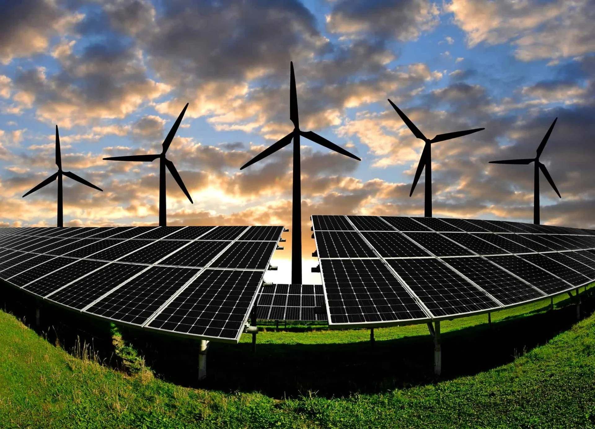 CAN RENEWABLE ENERGY STARTUPS COMPETE WITH BIG ENERGY?