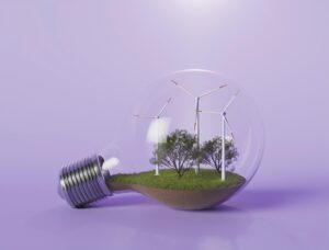 WINNERS AND LOSERS IN RENEWABLE ENERGY INVESTMENT THIS YEAR