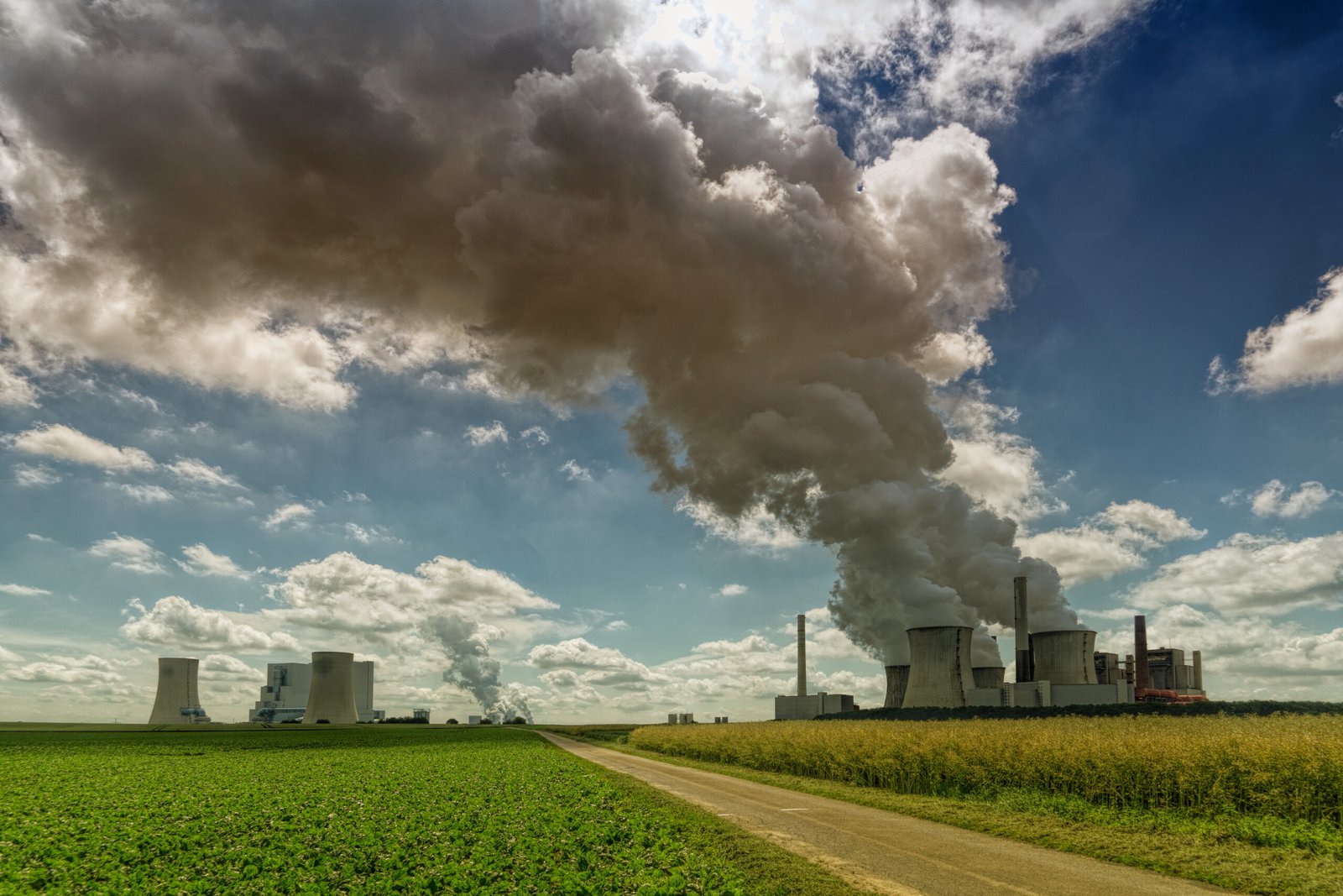 THE DARK SIDE OF CARBON OFFSETS