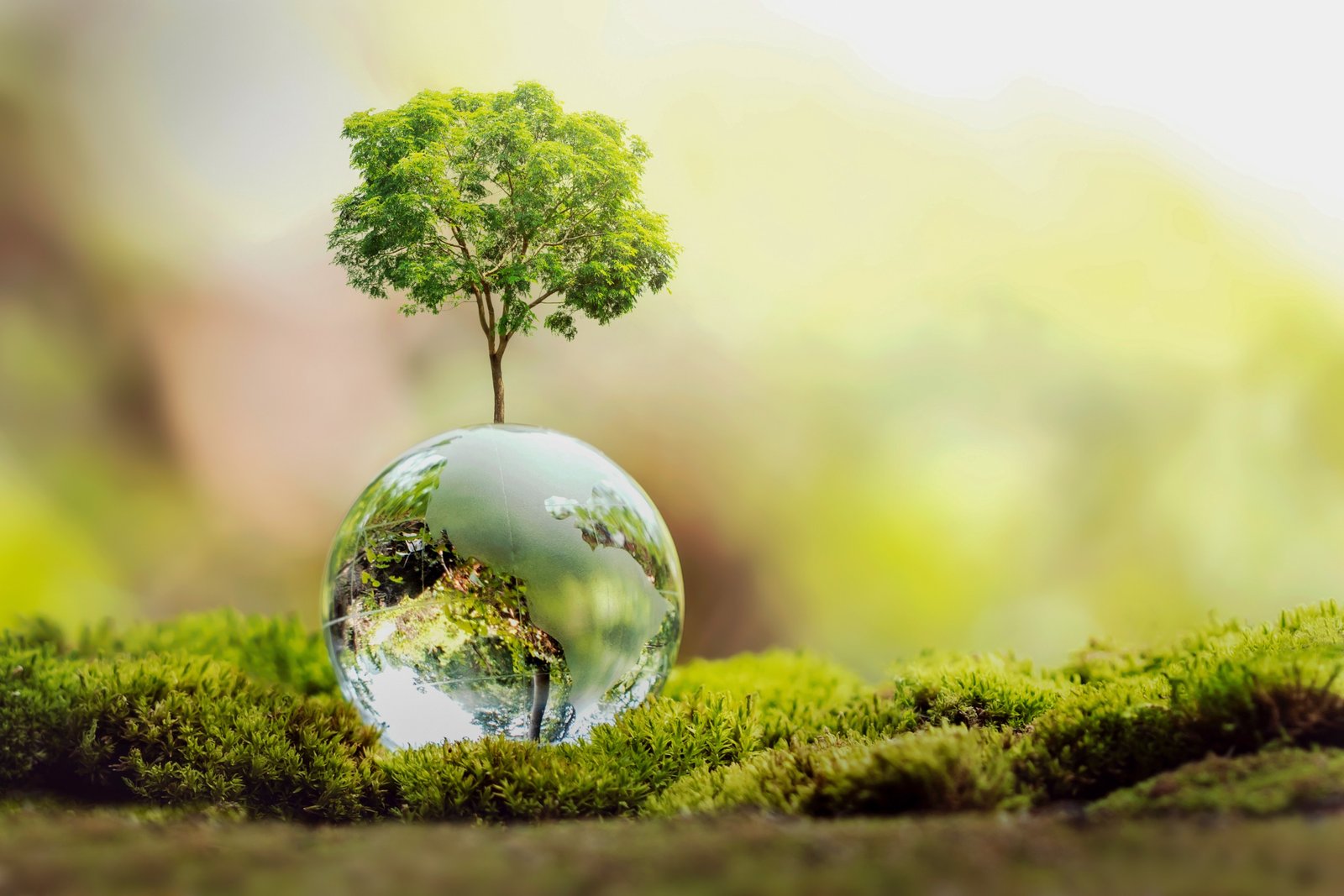 THE RISE OF AFRICA’S GREEN HYDROGEN ECONOMY