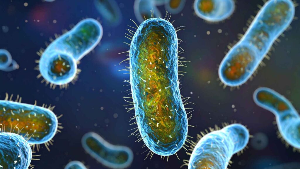 SYNTHETIC BIOLOGY: THE NEXT TRILLION-DOLLAR INDUSTRY?
